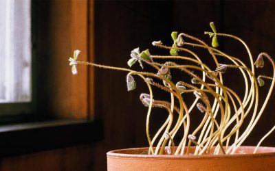 Exercising Influence as Product Managers & Talking to Customers