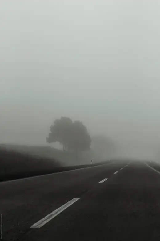 Skills-of-Product-Leaders-Required-in-Unprecedented-Times-Part-I Tree-lined road on a foggy day